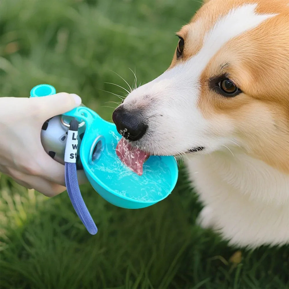 Stainless Steel Dog Water Bottle with Removable Silicone Bowl 285ml